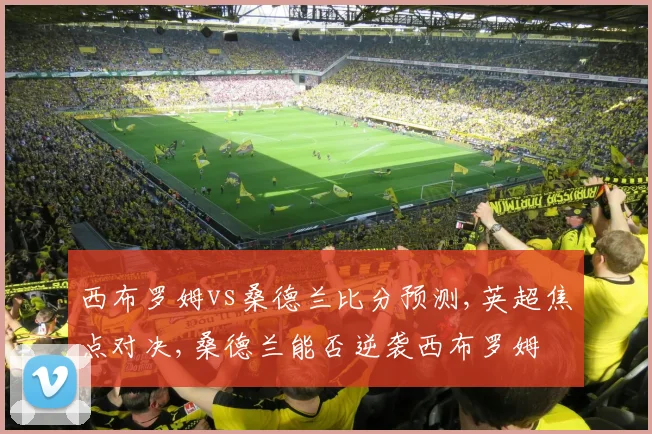 西布罗姆vs桑德兰比分预测,英超焦点对决,桑德兰能否逆袭西布罗姆