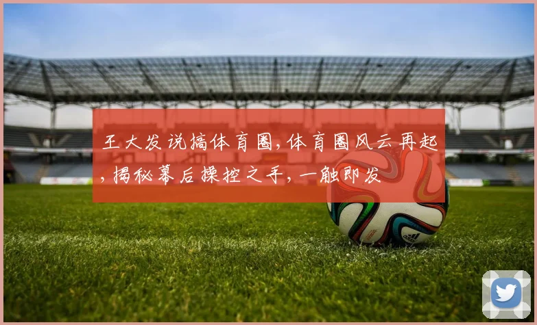 王大发说搞体育圈,体育圈风云再起,揭秘幕后操控之手,一触即发